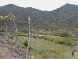 Vista 5