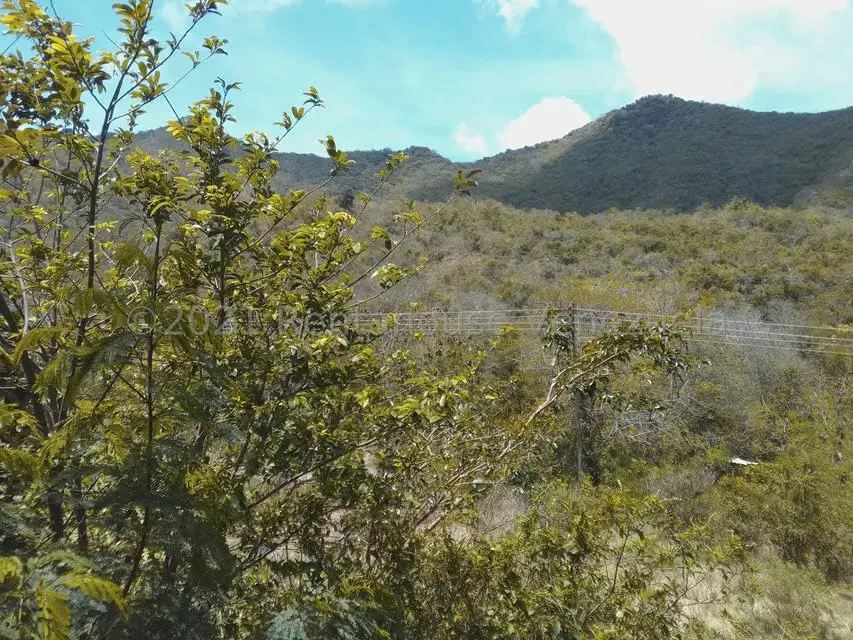 Terreno (Finca) en Venta en Tacarigua, Nueva Esparta - 9