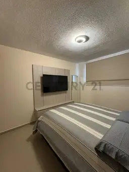 Vista 19