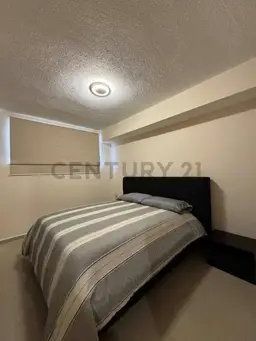 Vista 21