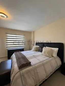 Vista 24