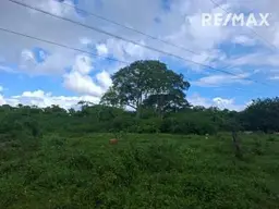 Vista 3