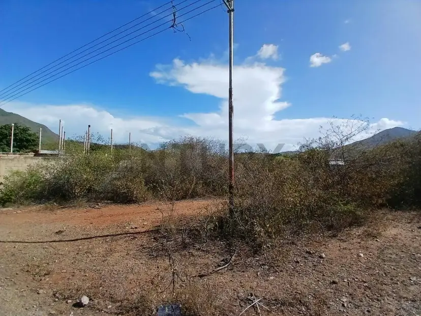 Construye el Futuro de tus Sueños: Terreno Único de 512m² en Margarita.