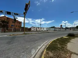 Vista 16