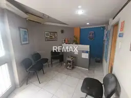 Vista 4