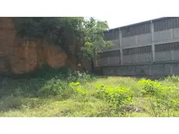 Vista 30