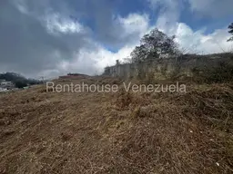 Vista 19