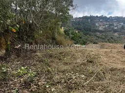 Vista 5