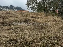 Vista 7
