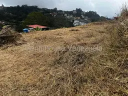 Vista 10