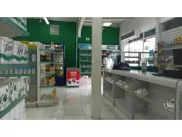 Vista 6