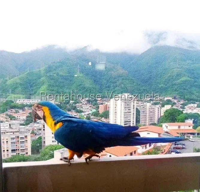 Apartamento (1 Nivel) en Venta en La Urbina, Distrito Metropolitano - 45
