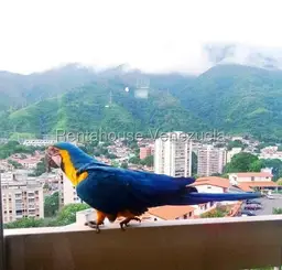 View 45