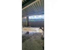 Vista 10