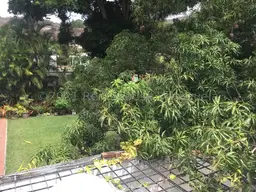 View 43