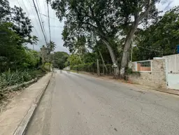 Vista 20