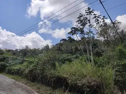 Vista 15
