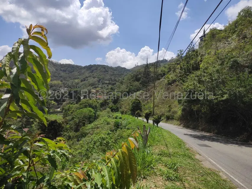 Terreno (Residencial) en Venta en Oripoto, Distrito Metropolitano - 2