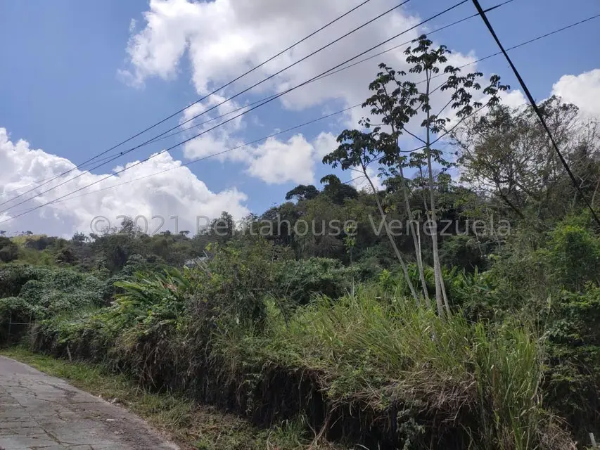 Terreno (Residencial) en Venta en Oripoto, Distrito Metropolitano - 3
