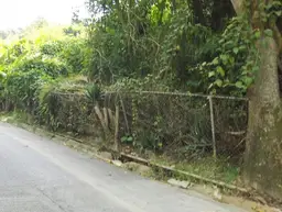 Vista 5