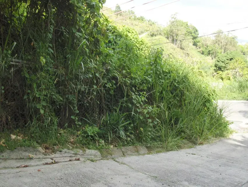 Terreno (Residencial) en Venta en Oripoto, Distrito Metropolitano - 6
