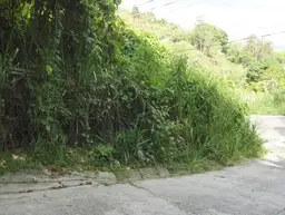 Vista 6