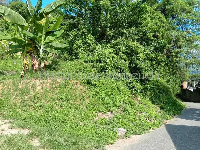 Terreno (Comercial) en Venta en Sector Centro Trujillo, Trujillo - 4