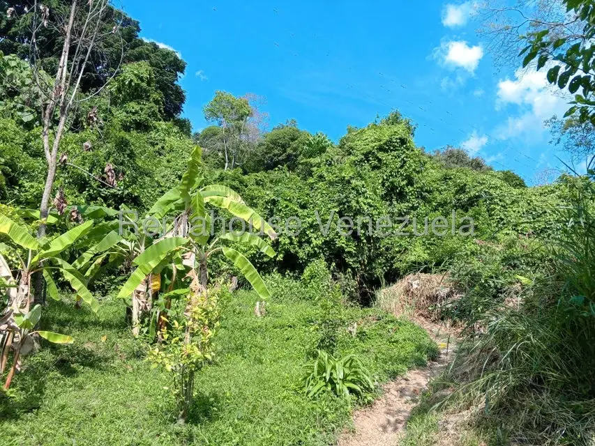 Terreno (Comercial) en Venta en Sector Centro Trujillo, Trujillo - 6