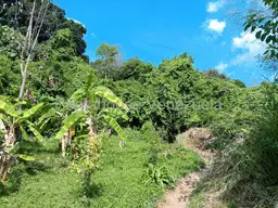 Vista 6