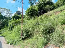 Vista 7