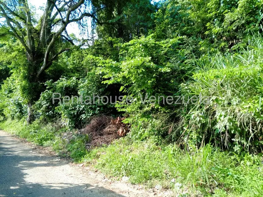 Terreno (Comercial) en Venta en Sector Centro Trujillo, Trujillo - 9