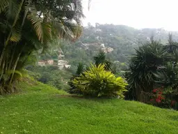 Vista 4