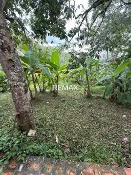 View 15