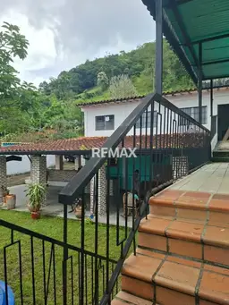View 8