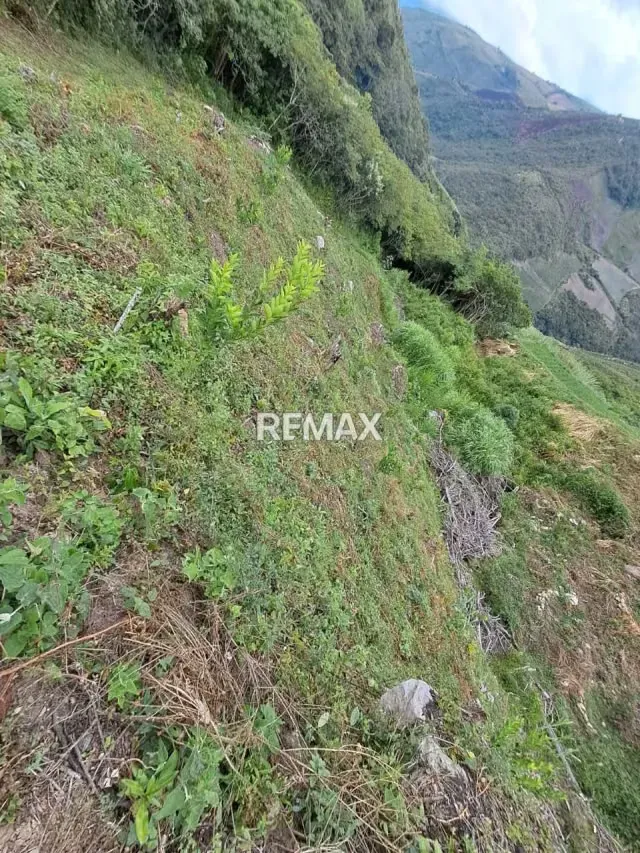 Se vende finca en producción