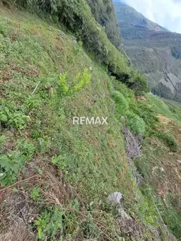 View 1