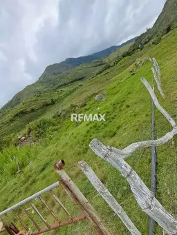 View 5