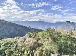Vista 15