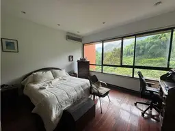Vista 19