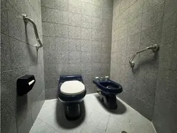 Vista 24