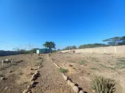 Vista 11