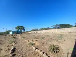Vista 13