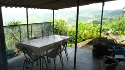 View 12