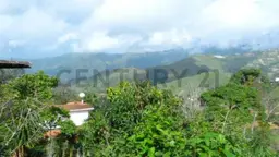 View 10
