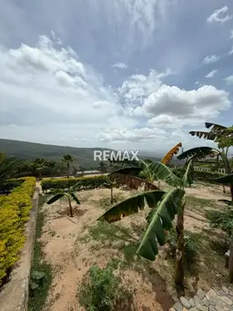 Vista 17