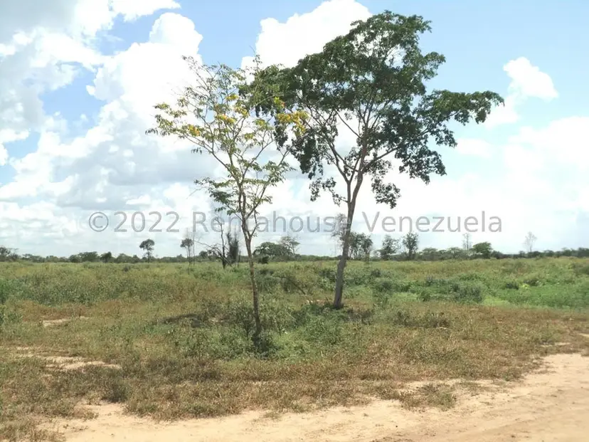 Terreno (Finca) en Venta en La Playa, Anzoategui