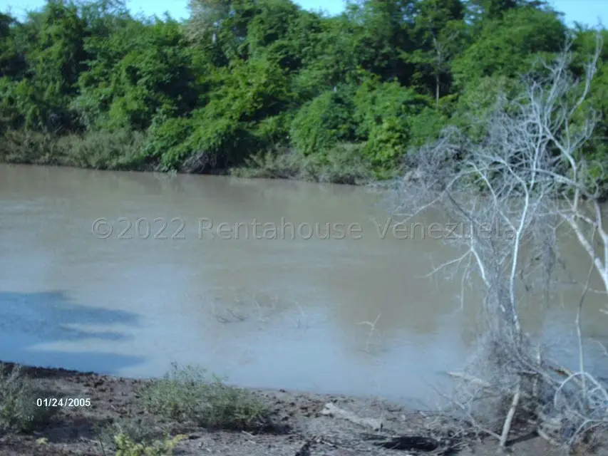 Terreno (Finca) en Venta en La Playa, Anzoategui - 5