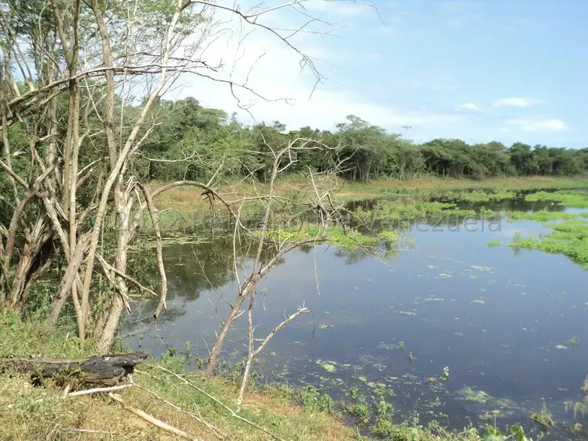 Terreno (Finca) en Venta en La Playa, Anzoategui - 6