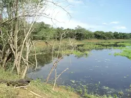 Vista 6