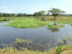 Vista 7